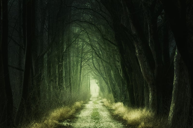 Magic Garden Path