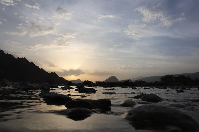 Sunrise Oasis